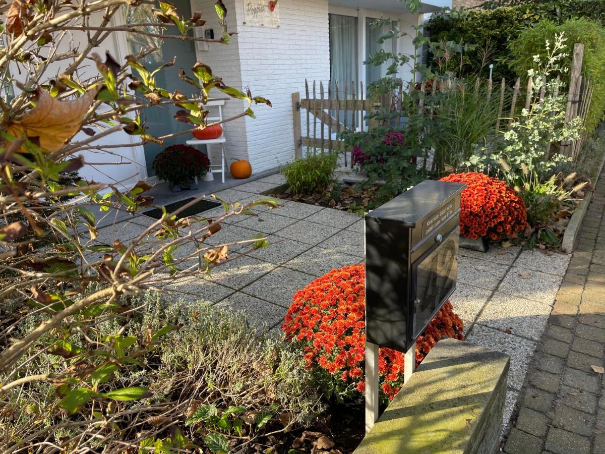 Guesthouse Poppies , Free Parking 오스텐드 외부 사진