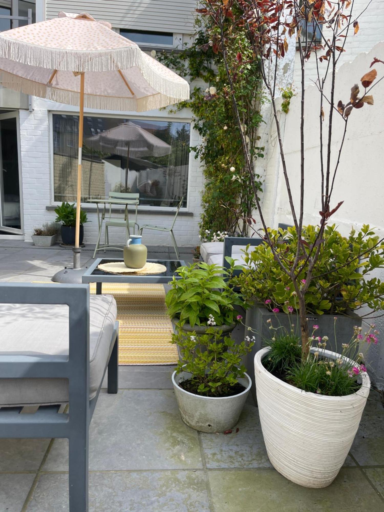 Guesthouse Poppies , Free Parking 오스텐드 외부 사진